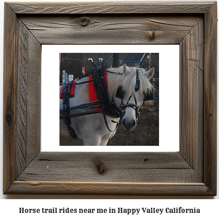 horse trail rides near me in Happy Valley, California